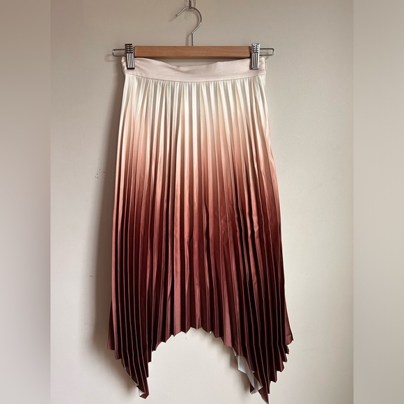 Petite Studio Calla Pleated Skirt in Rust, size XXS - Picture 11 of 16